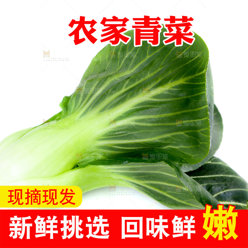 白底上放着青菜