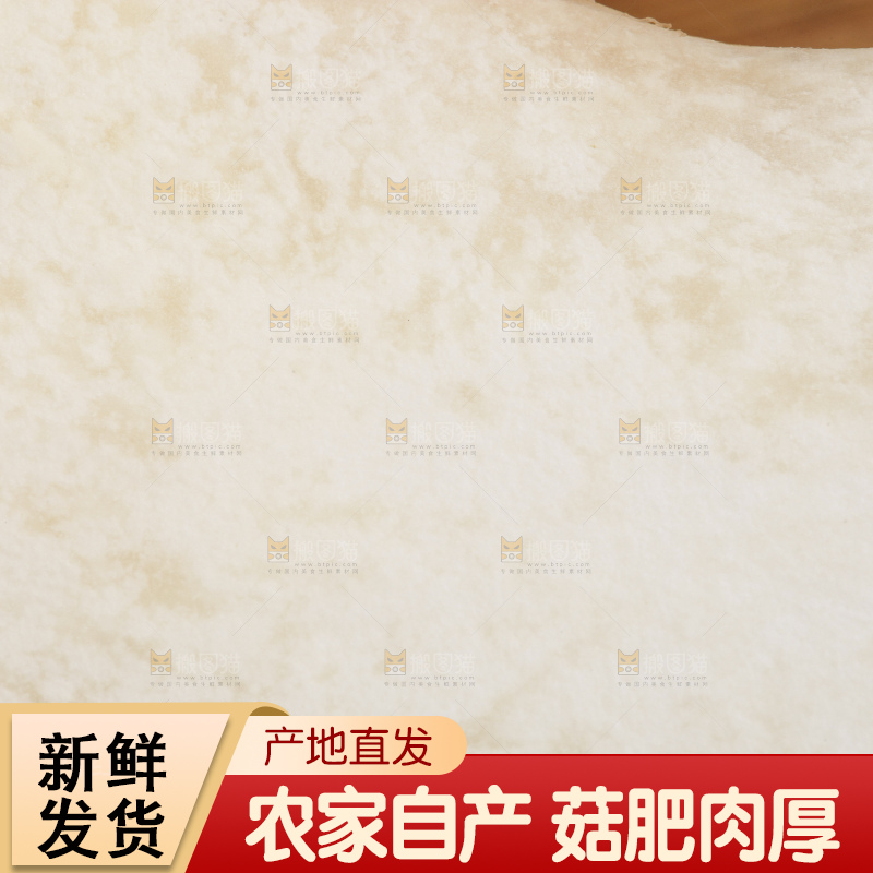 木板上的新鲜杏鲍菇
