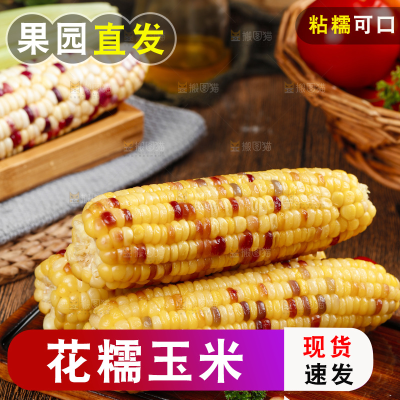 木底上的熟花糯玉米