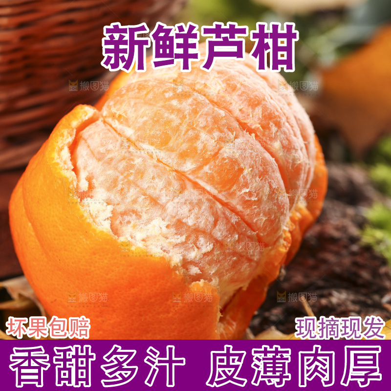 木板上放着芦柑