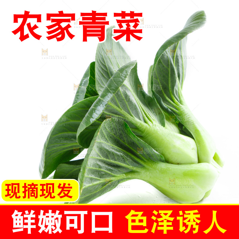 白底上放着上海青