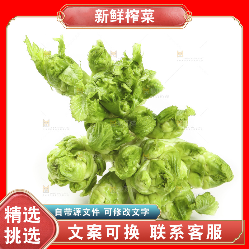 白底上的大头菜疙瘩