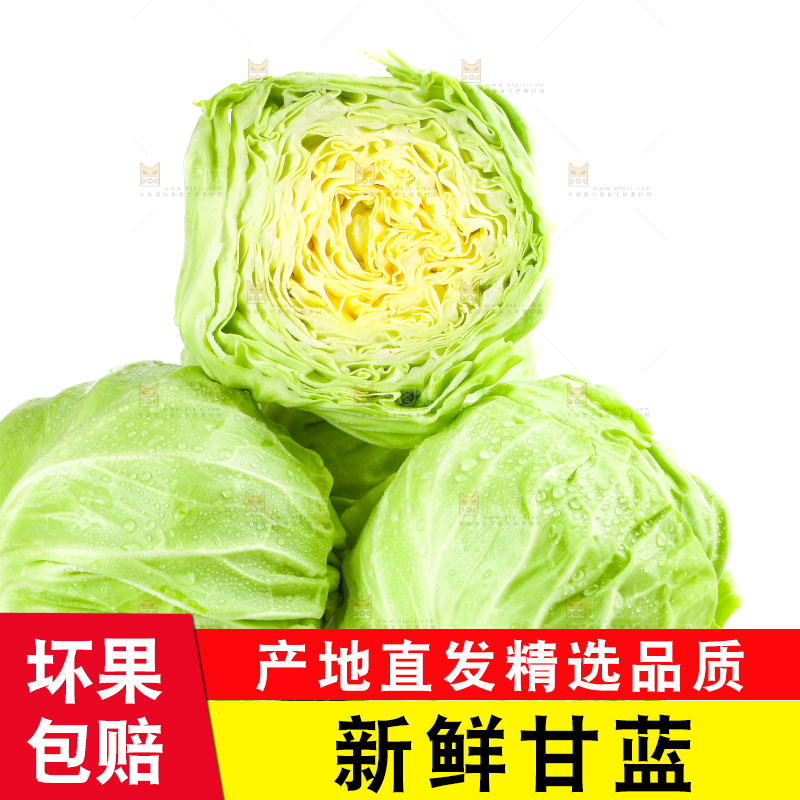 白底上摆放着包菜