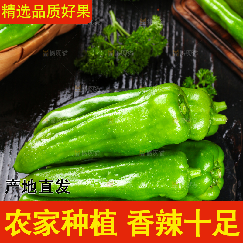 黑石板上放着青椒