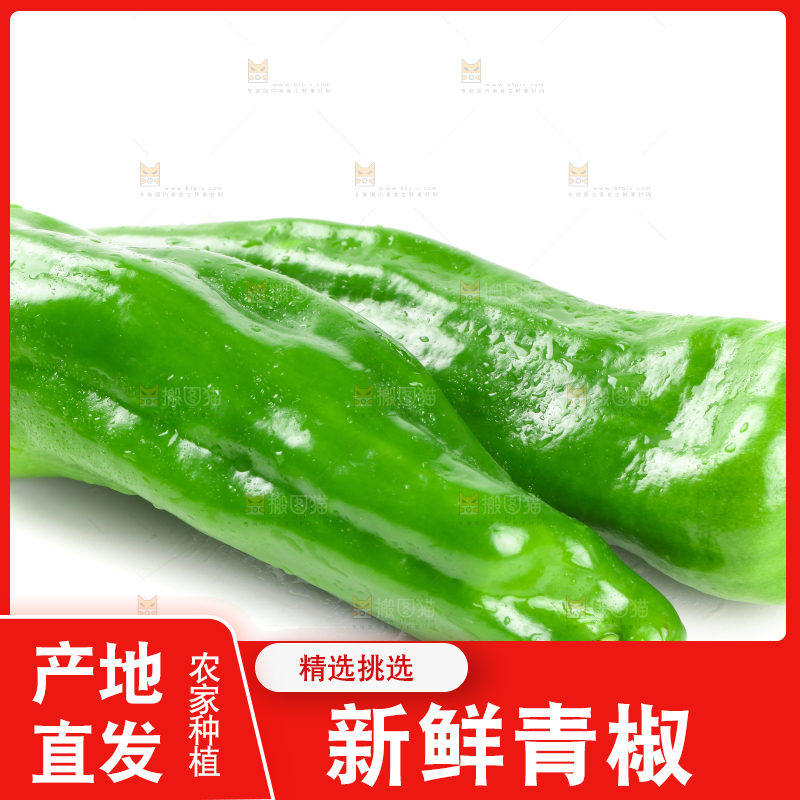 白底上放着湖北青椒