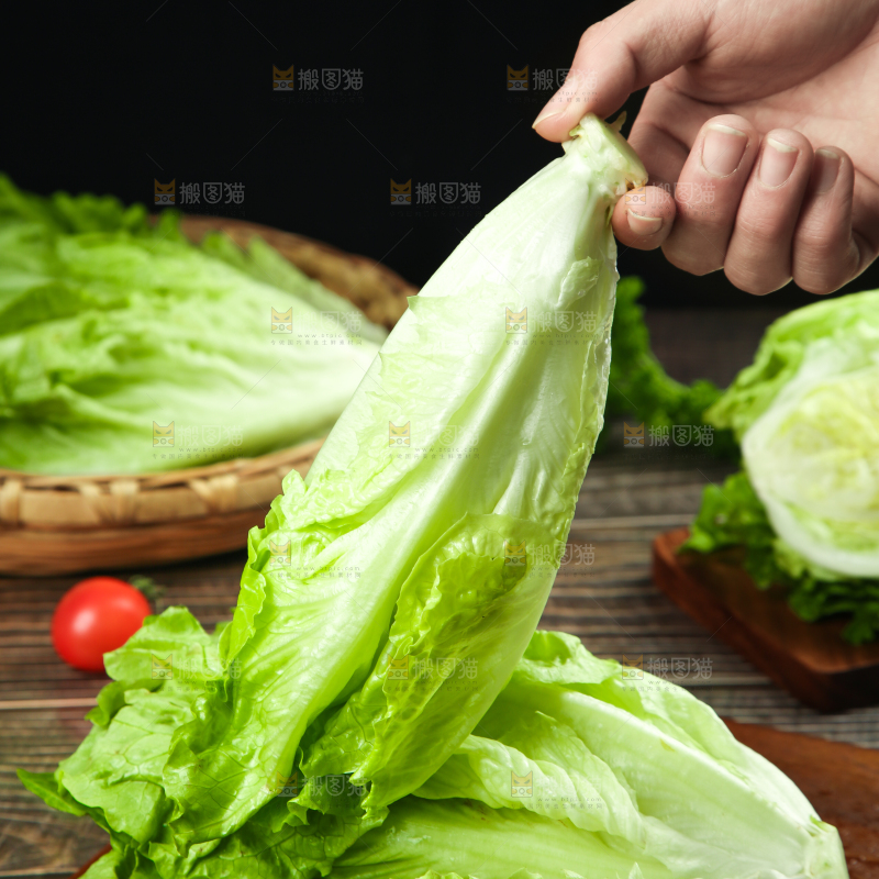 手里拿着生菜