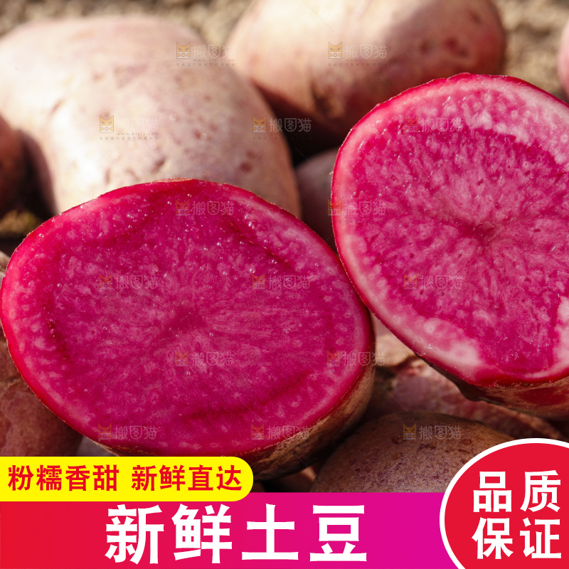 土地上放着红心土豆