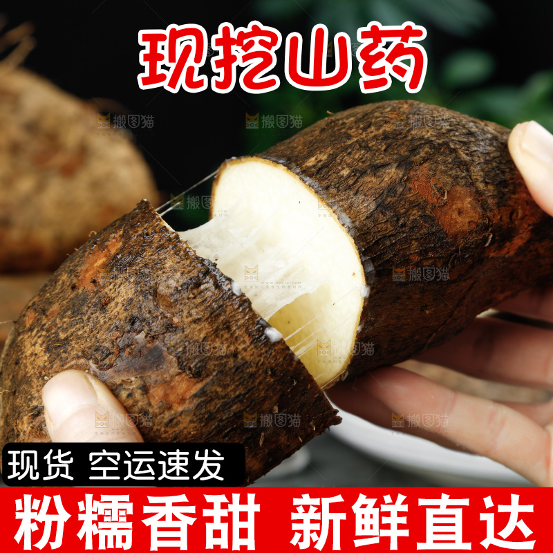 黑底上的金秤砣山药