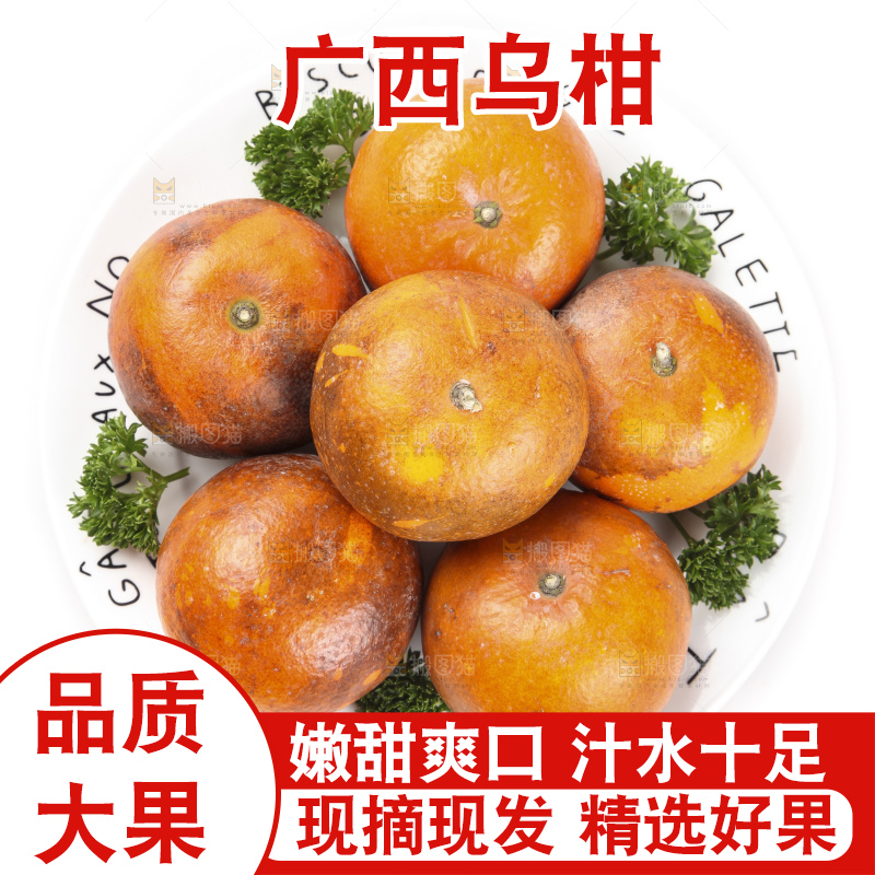白底上放着新鲜乌柑