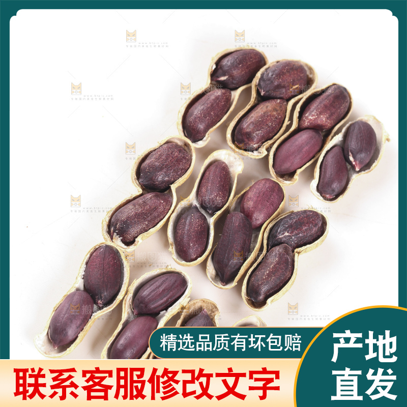 白底上的黑皮花生
