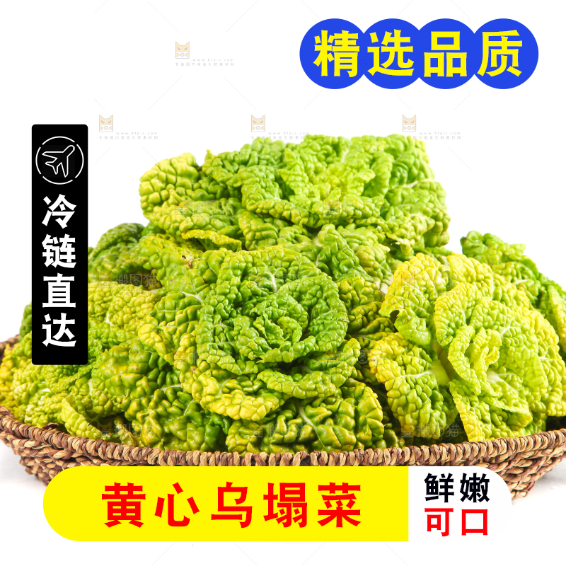 篮子里装着乌塌菜