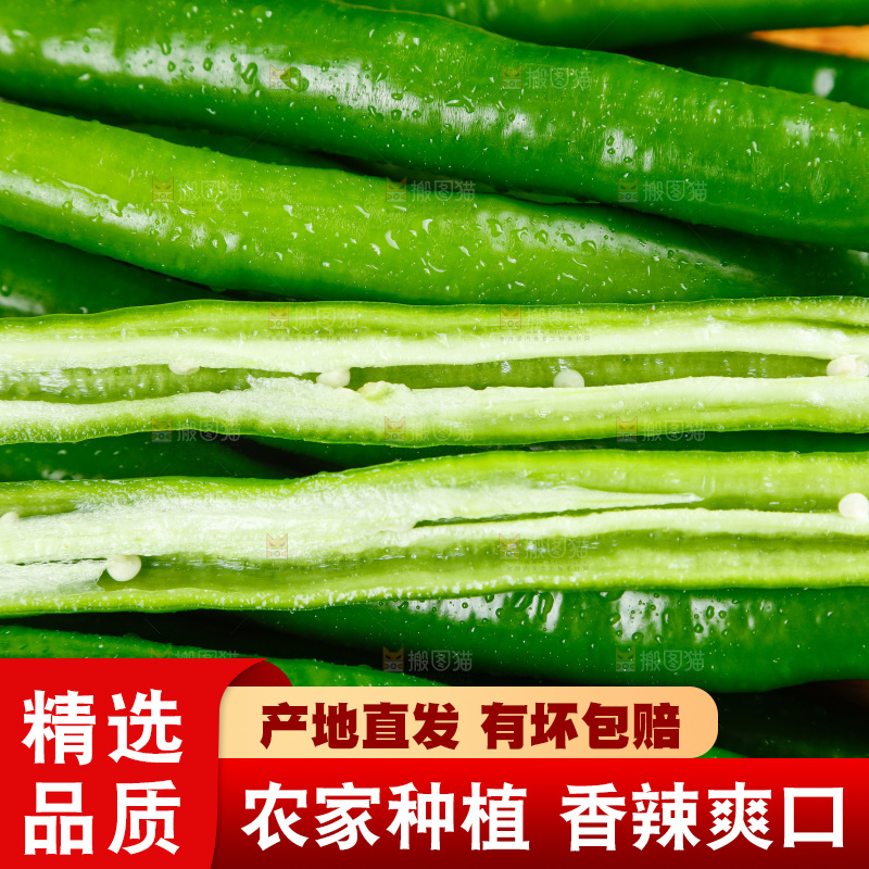 盘子里放着线椒