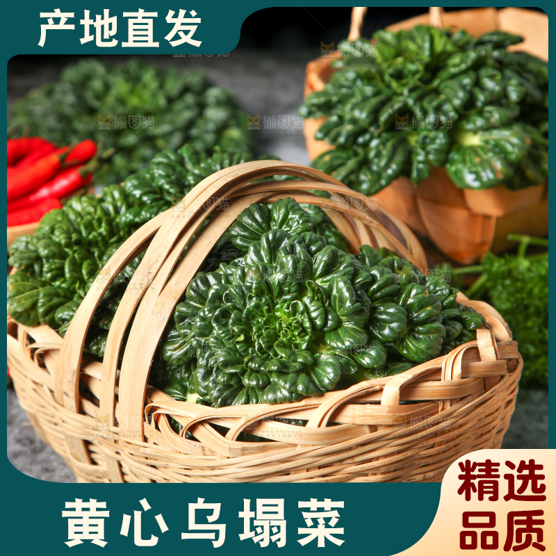 篮子里装着乌塌菜