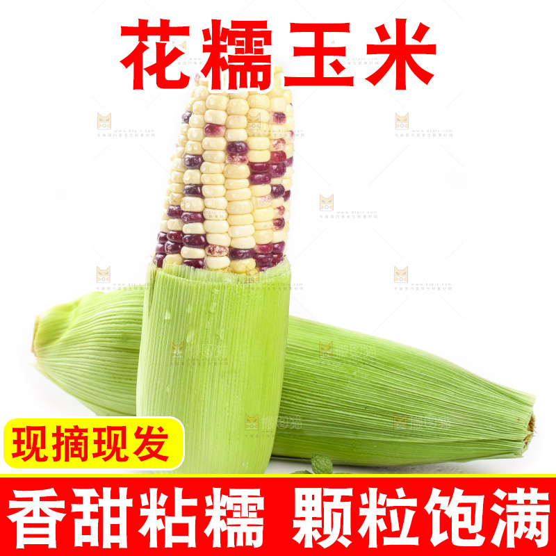 白底上放着剥皮的花糯玉米
