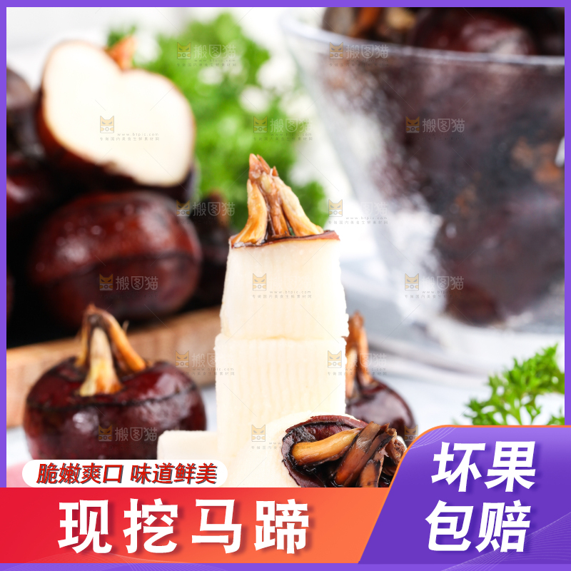 彩底上的马蹄果