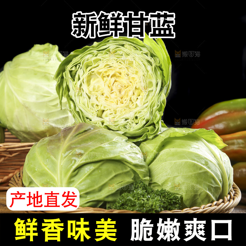 篮子里装着绿甘蓝