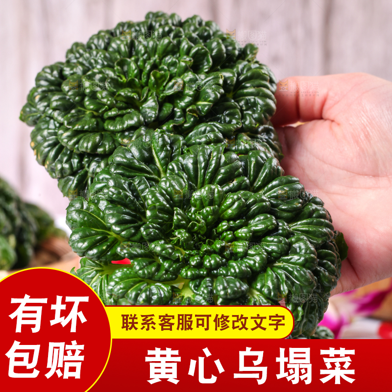 浅底上放着菊花菜
