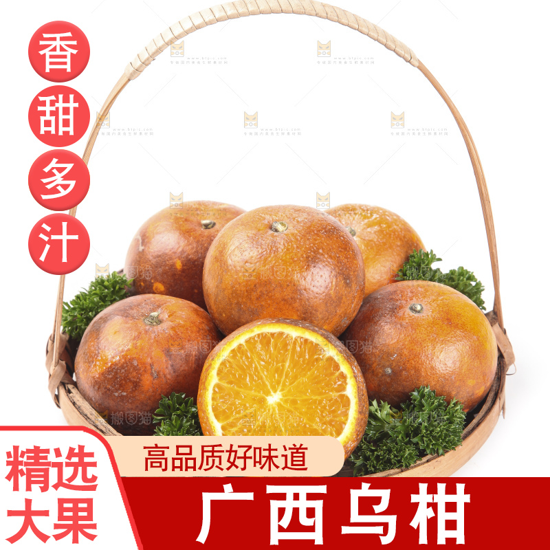 篮子里的广西乌柑