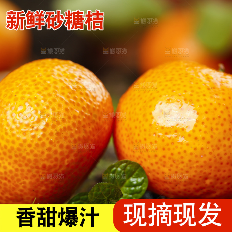 深底上的广西砂糖橘