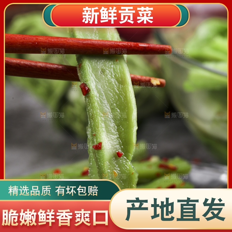 碗里的涡阳贡菜