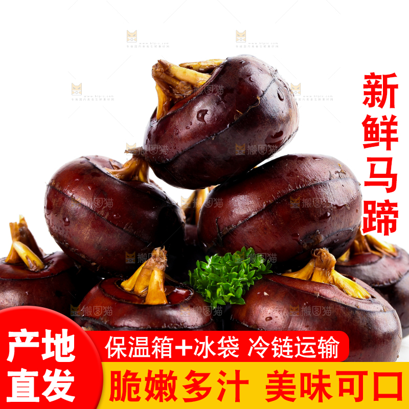 白底上摆放着乐昌北乡马蹄