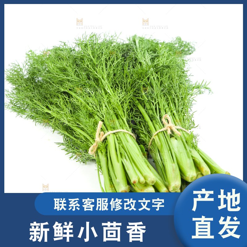 白底上放着小茴香