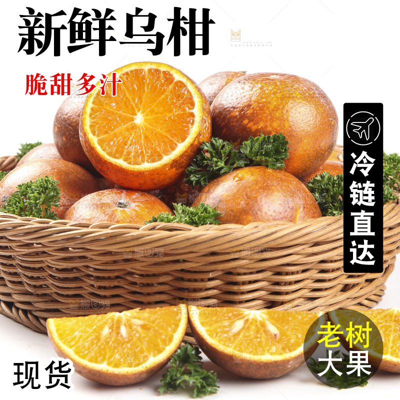 篮子里的广西乌柑