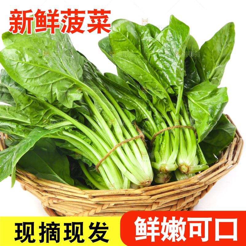 白底上放着菠菜