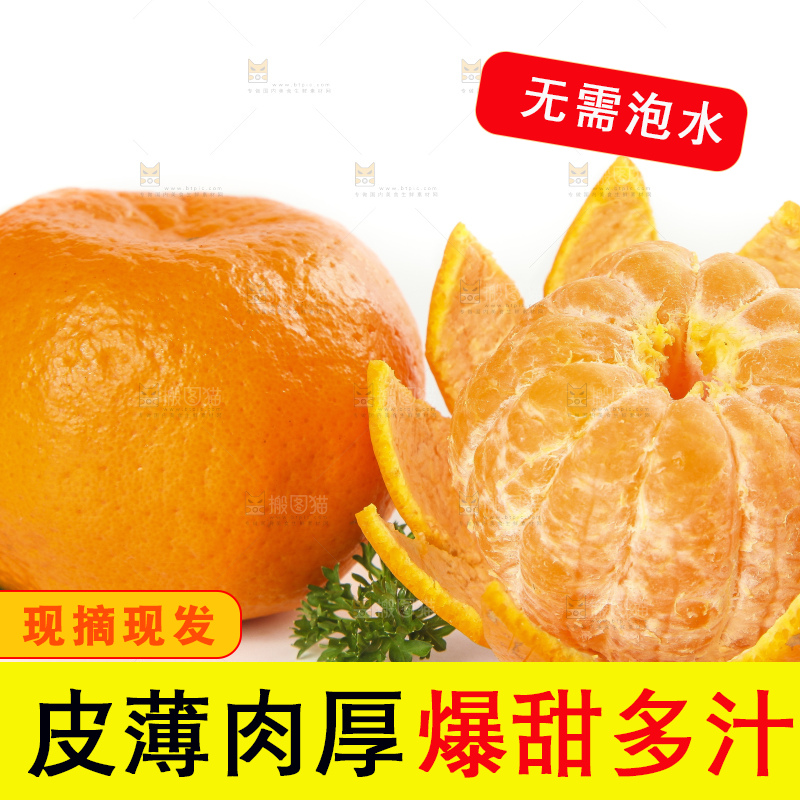 白底上的椪柑橘
