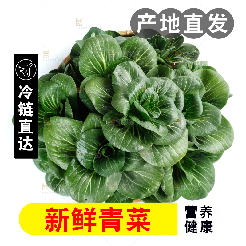 白底上的绿叶菜