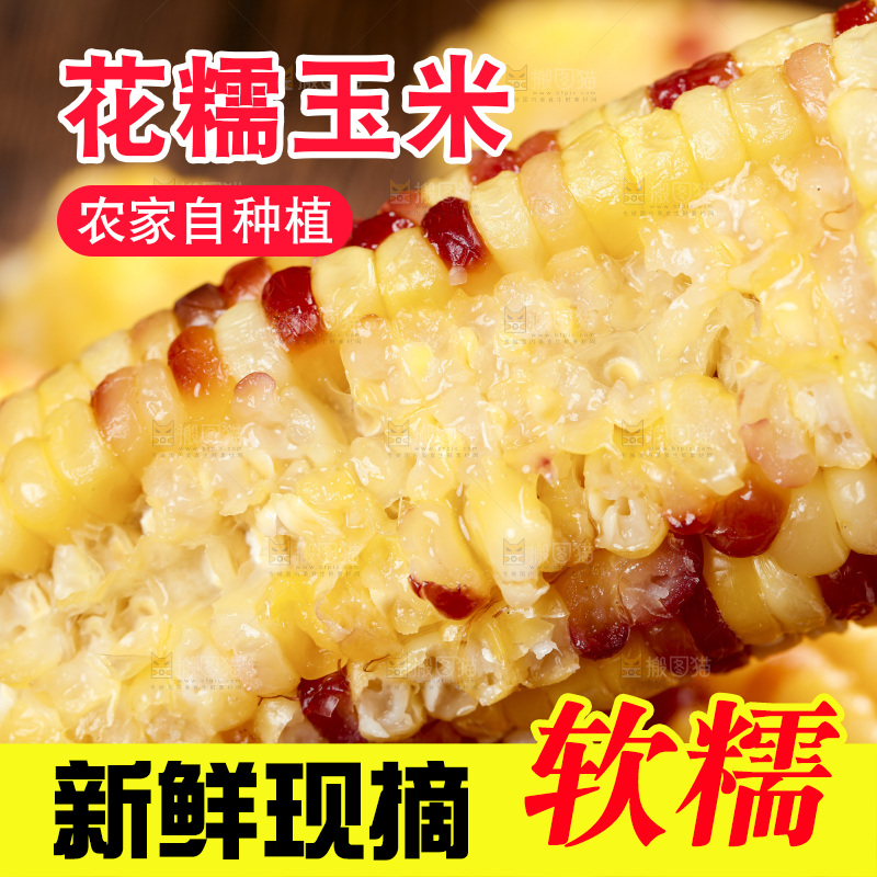 深底上的熟花糯玉米