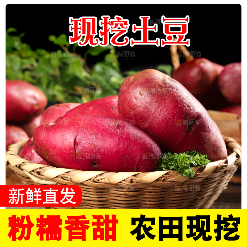 篮子里的红心土豆