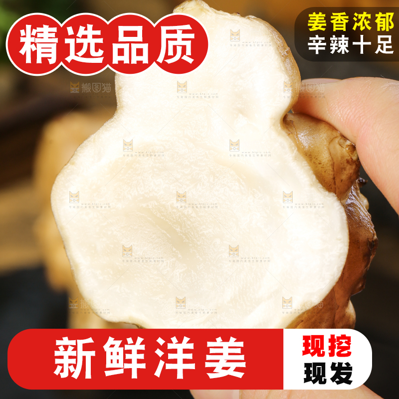 手里拿着地姜