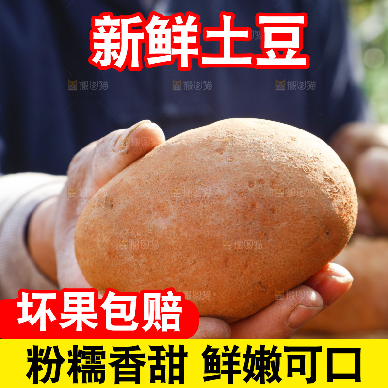 手里拿着彩色土豆