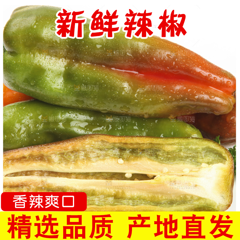 白底上的彩色辣椒