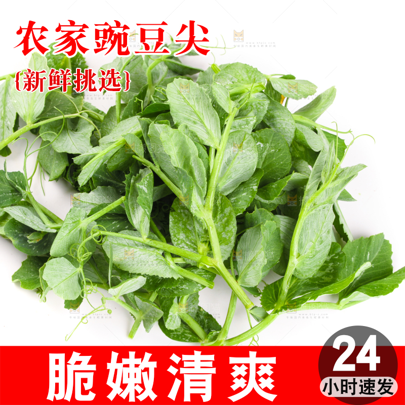 白底上摆放着新鲜豌豆苗