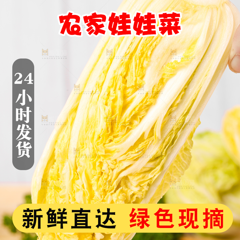 白格子底上的农家自种娃娃菜