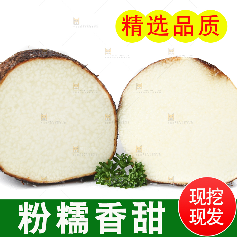 白底上的糯米金秤砣山药
