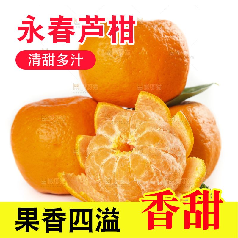 白底上的椪柑橘