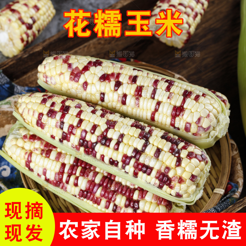 深底上的花糯玉米