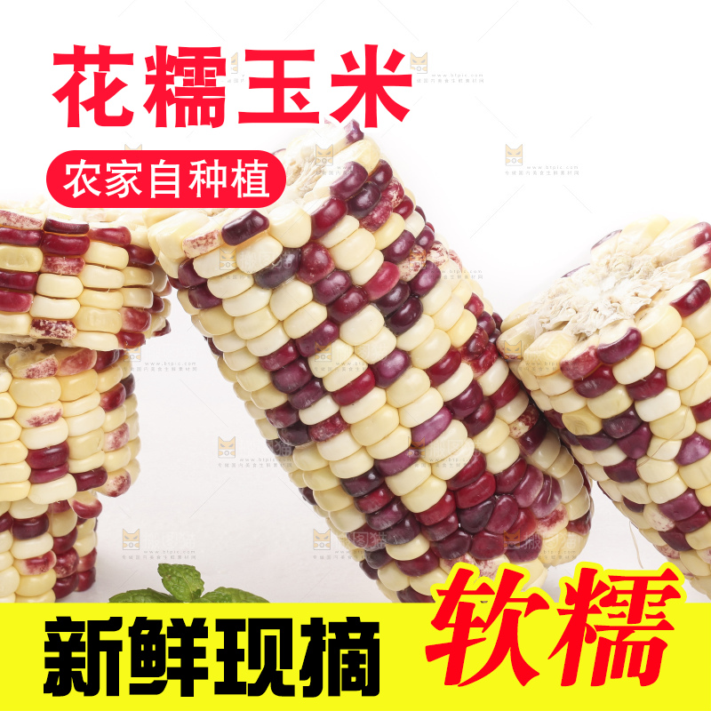 切开的花糯玉米放在白底上