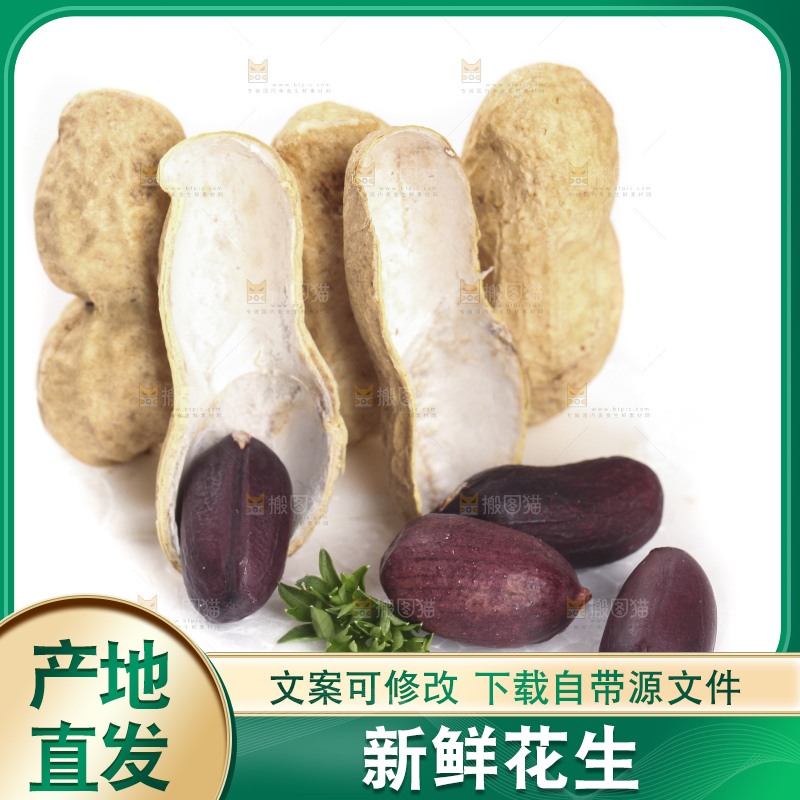 白底上的黑皮花生