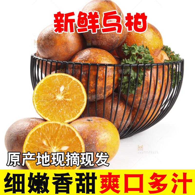 框子里装着新鲜乌柑