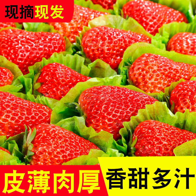 箱子里的新鲜草莓