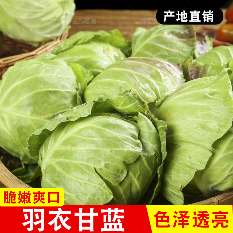 篮子里装着绿甘蓝