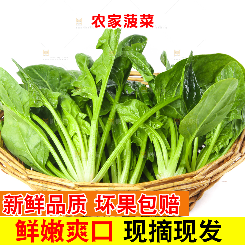 篮子里的红根菠菜