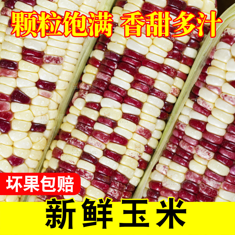 深底上的花糯玉米