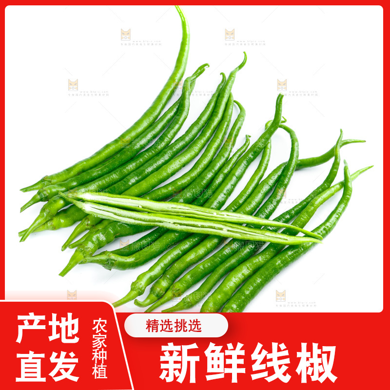 白底上放着二荆条辣椒