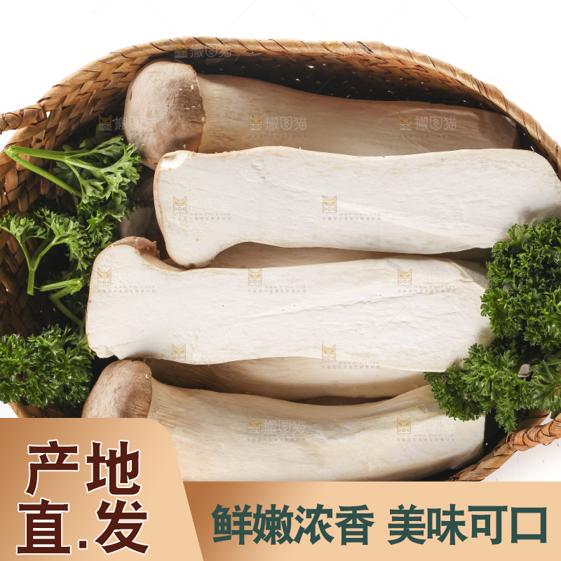 篮子里的菌菇