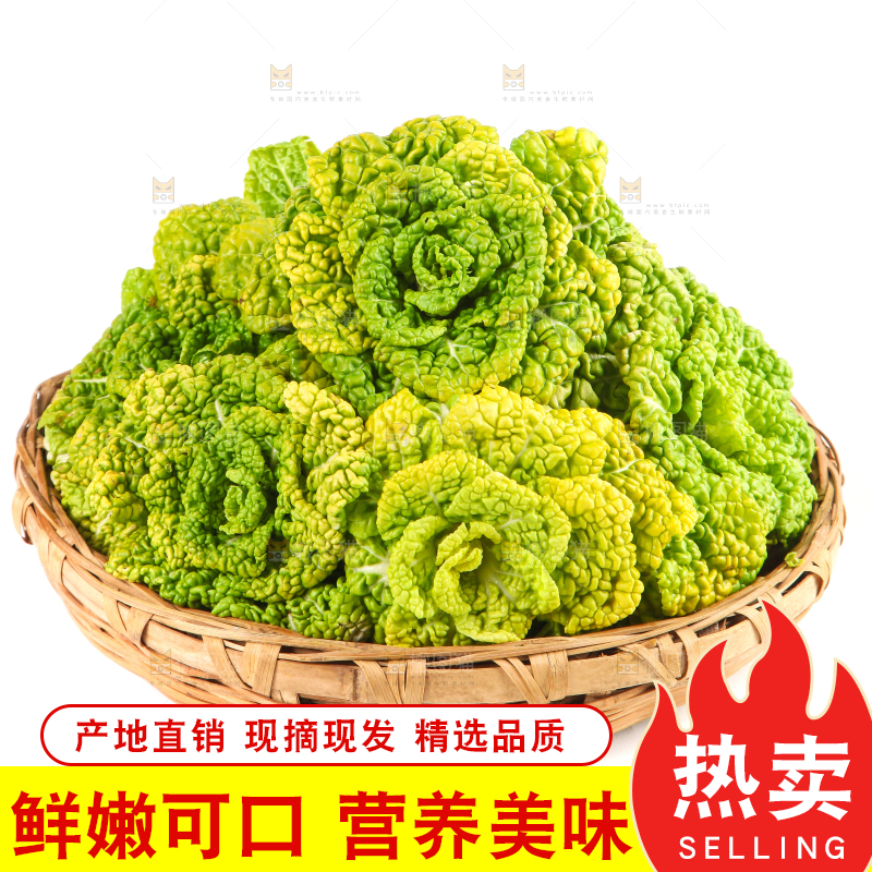 篮子里装着乌塌菜